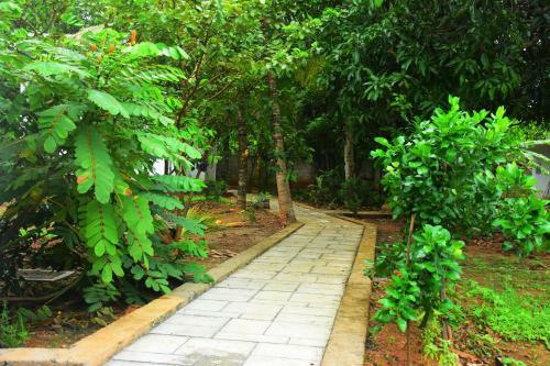 Hostal Forest Dew