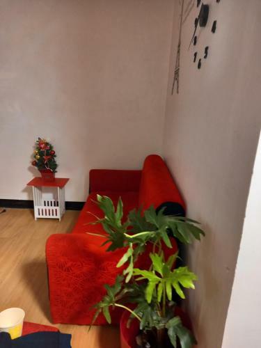Bed & Breakfast Red Home Place
