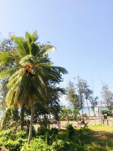 Hotel Golden Bay Resort Weligama