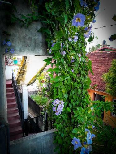 Hostal Knt Villa