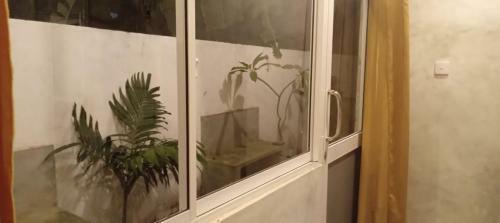 Hostal Weligama Bay Eco Home