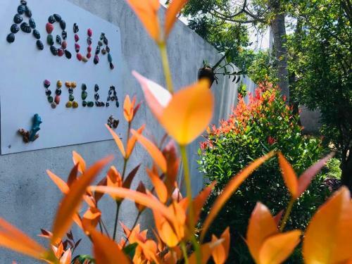 Aqua Villa
