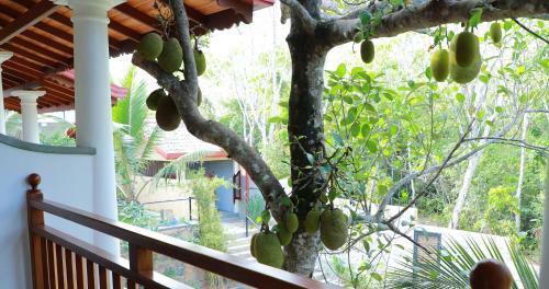 Hotel Terrace Garden Ayurveda Resort