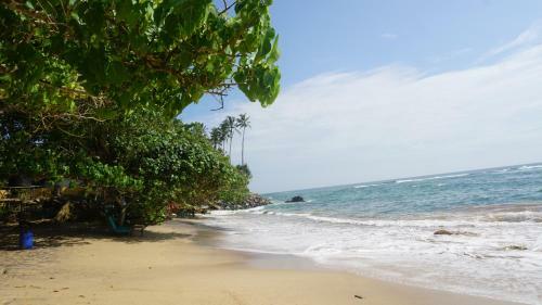 Hostal The Reef Weligama