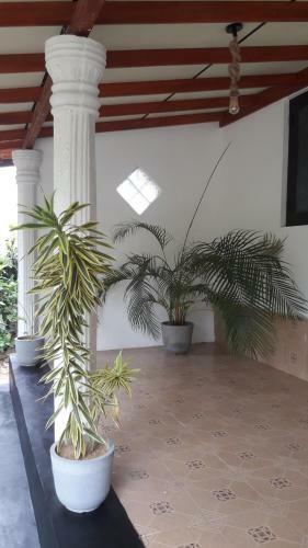 Apartamento Nethu Villa