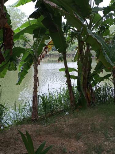 Ajith Villa-weligama