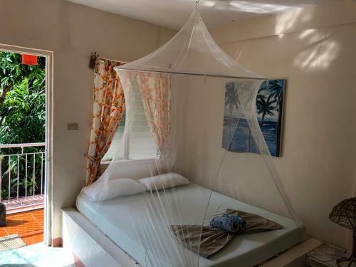 Posada Amami Garden Hostel