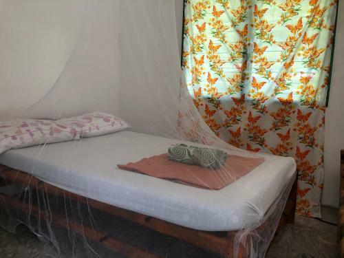 Posada Amami Garden Hostel