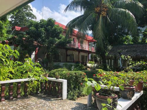Posada Amami Garden Hostel