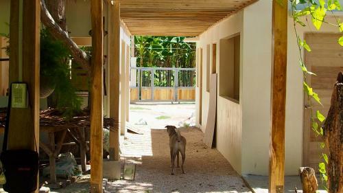 Hotel Camotes-hidden-huts
