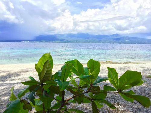 Hotel Santander Pebble Beach Resort