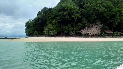 Posada Acuario Beach Inn