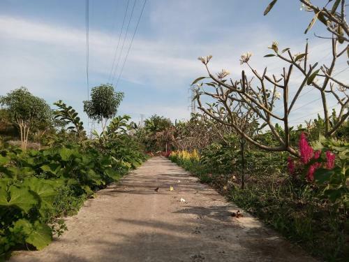 Thach Thao Homestay