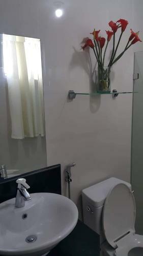 Apartamentos Palm Tree Villas 1