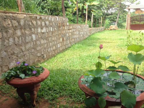 Plei Homestay & Caf�
