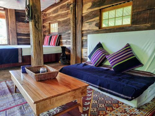 Plei Homestay & Caf�