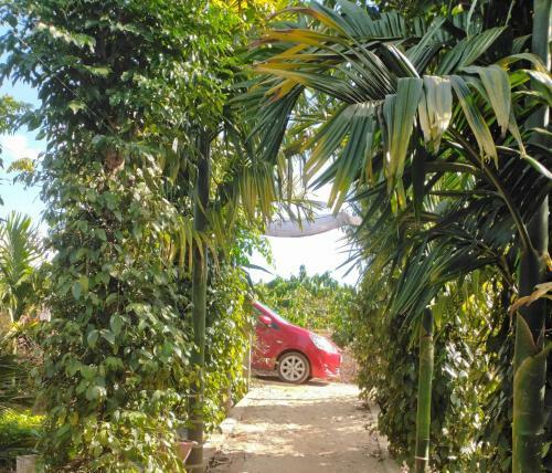 Apartamento ?i?n Farm