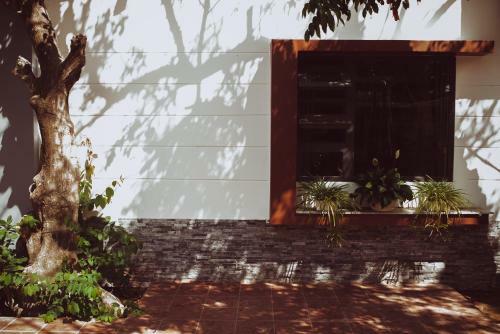Ngaunhien's House - Homestay