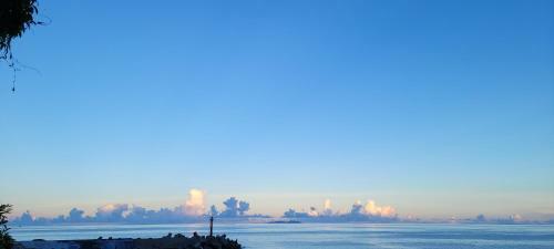 Ocean New Discover