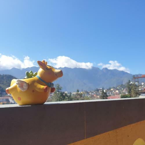 Hotel Ch?t Homestay
