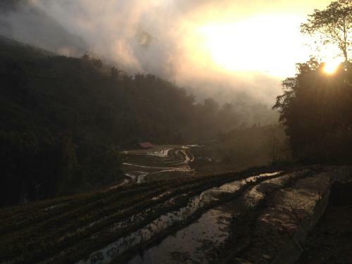 Terrace H'mong Homestay