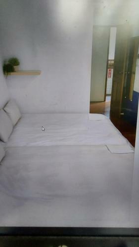 Hostal Green Leaf Home