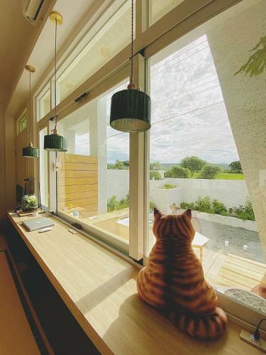 Hostal Sunny Breezy