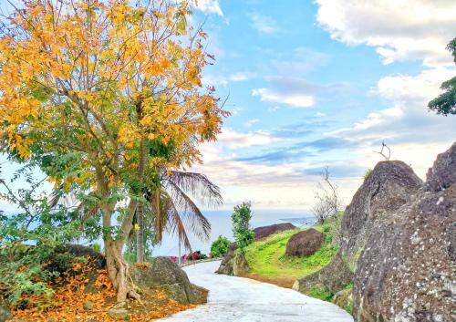 Amazing Taitung B&B