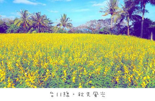 Amazing Taitung B&B