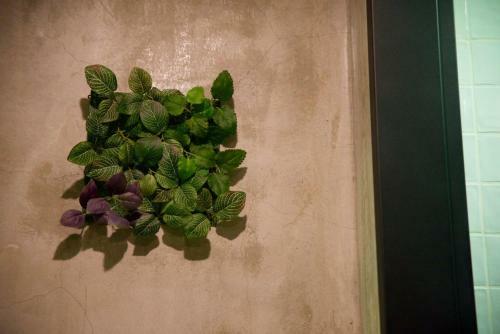Fourteen Beds Hostel