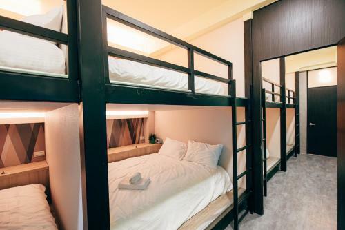 Bird Series Hostel