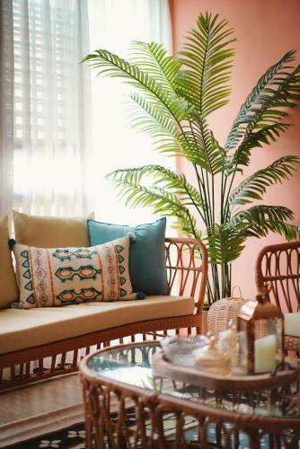 ?????????-?????