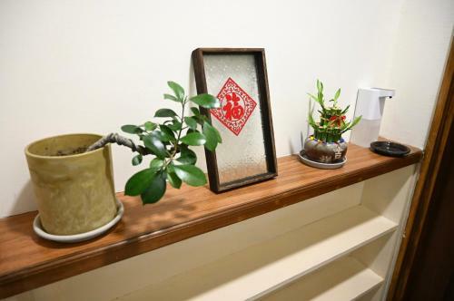 Slowtree Apartment