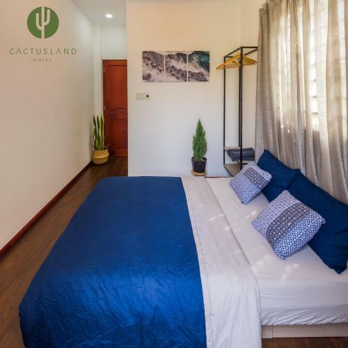 Cactusland Homestay - Tran Hung Dao
