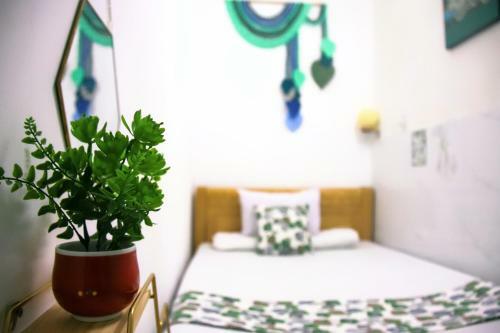 Posada Kim House