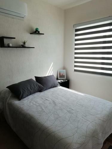 Beewolf Beach House