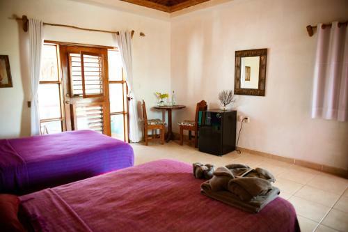 Hotel Nacional Beach Club & Bungalows