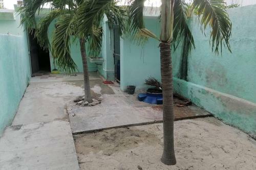 Apartamento Casa Pel�cano, A 250 Mts de La Playa.