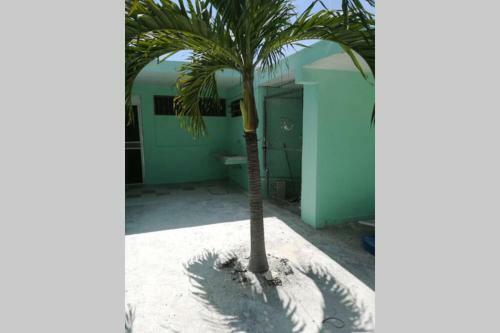 Apartamento Casa Pel�cano, A 250 Mts de La Playa.