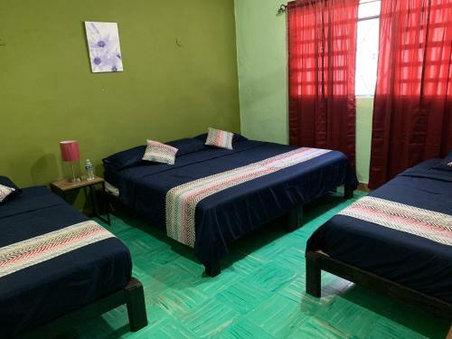 Hostal Casa Alegria