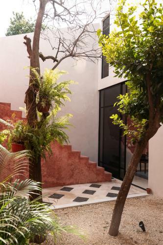 Luxury Home In The Heart Of Merida