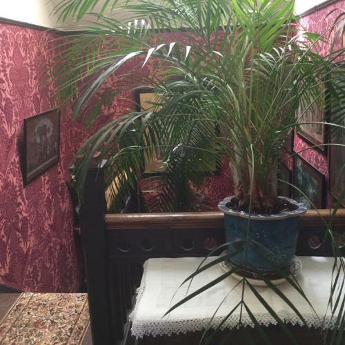 St Benedict - Victorian Bed And Breakfast