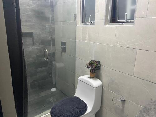 Apartamento Sharon?sweet Home