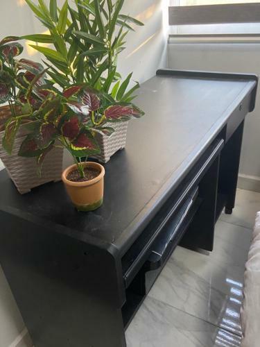 Apartamento Sharon?sweet Home