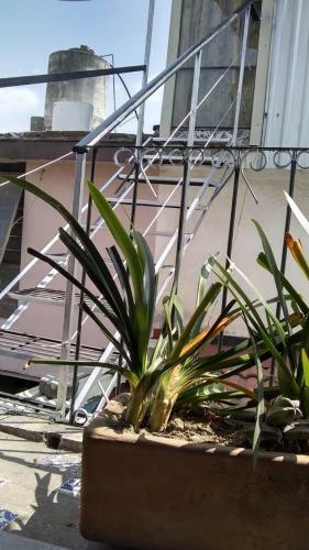 Apartamento Rio Celeste
