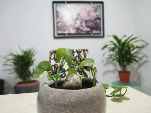 Apartamento La Casa Del Oso ***cerca Del Centro***
