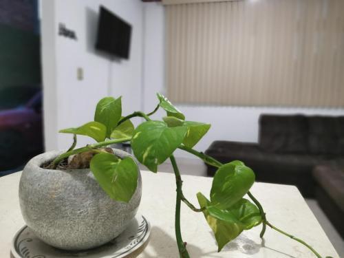 Apartamento La Casa Del Oso ***cerca Del Centro***