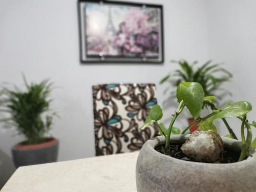 Apartamento La Casa Del Oso ***cerca Del Centro***