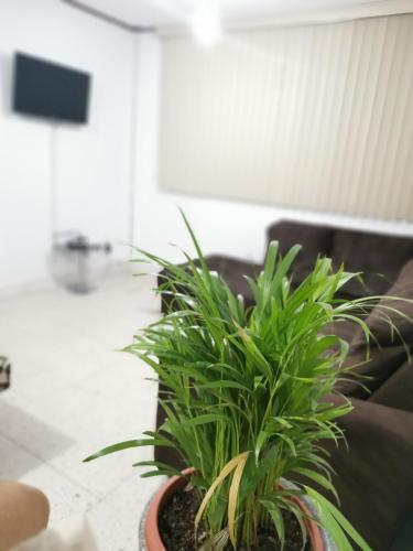 Apartamento La Casa Del Oso ***cerca Del Centro***