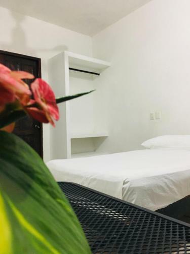 Hostal Room In Guest Room - Standard Room With Two Single Beds